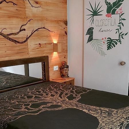 Clorofila House Glamping Naturista Ubatuba Exteriér fotografie